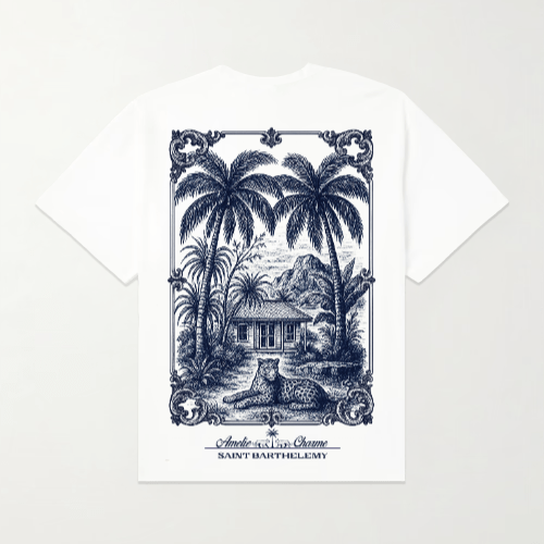 Boxy Fit T-Shirt (250 GSM) - Amelie Charme